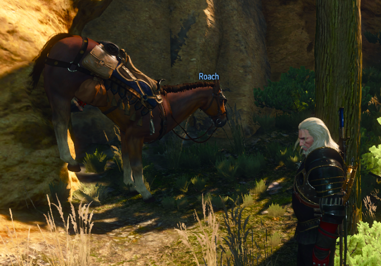 Roach... - My, The Witcher 3: Wild Hunt, Bug, Roach, Witcher