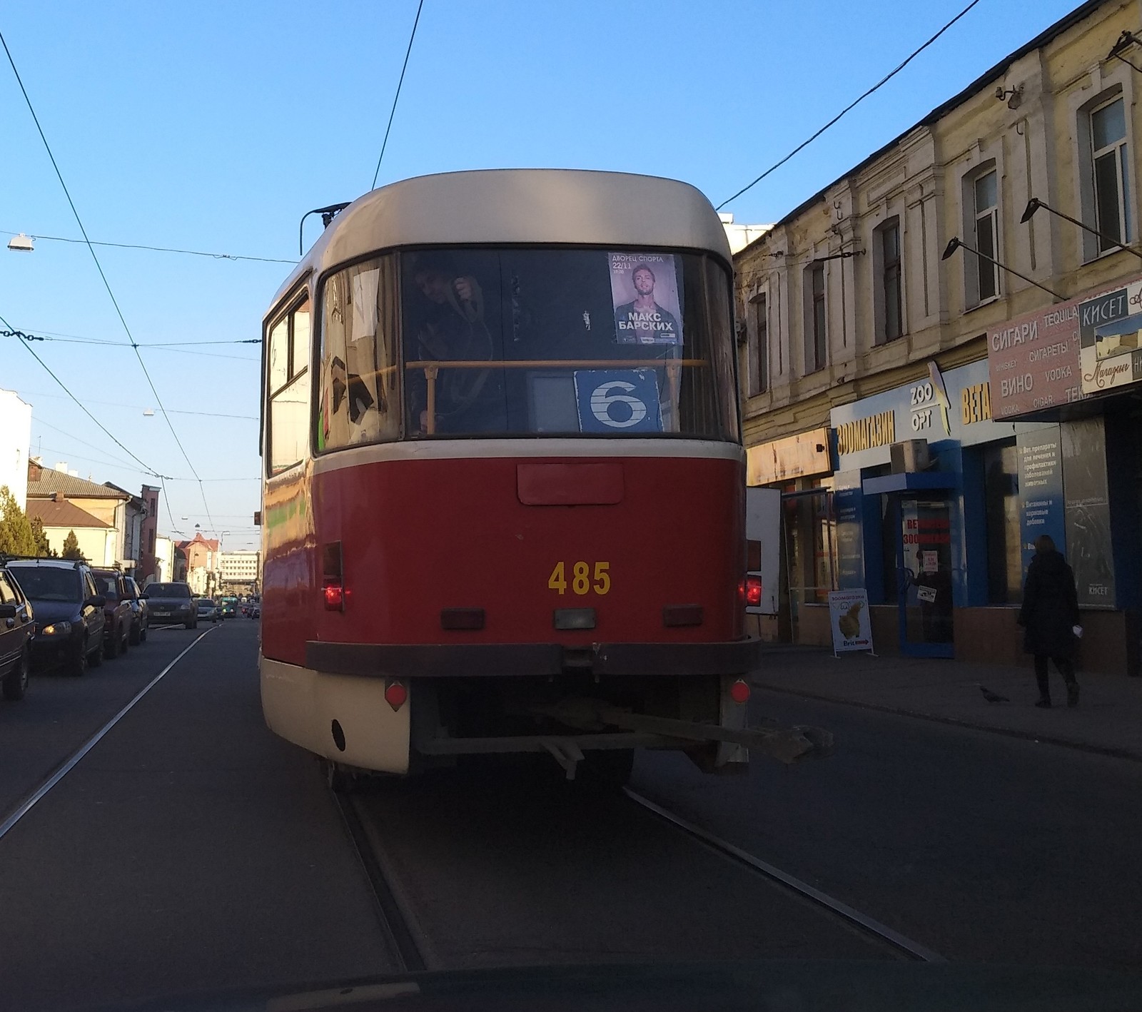 Agricultural country Ukraine! With a goat in the tram! - My, Tram, Пассажиры, Goat, Gorelectrotrans, Longpost