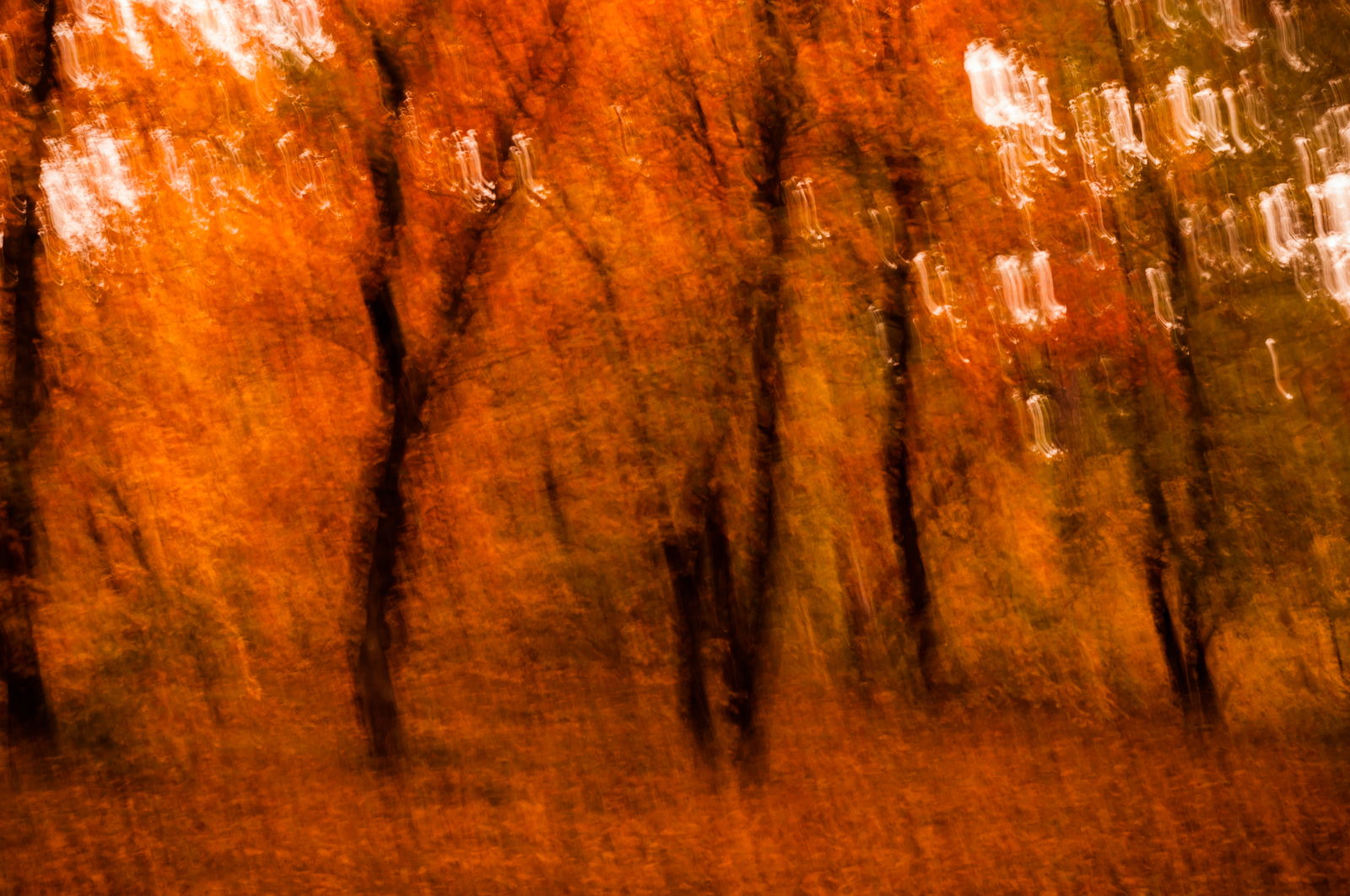 Crimean autumn - My, Beginning photographer, The photo, Crimea, Impressionism