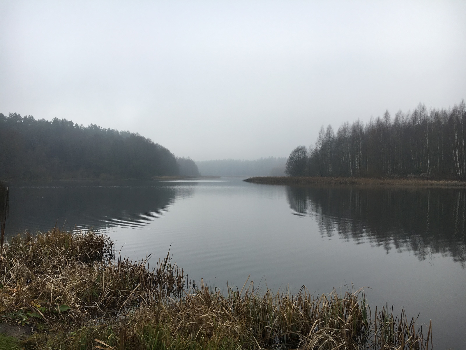 Silence - My, Mobile photography, iPhone 6s, Autumn, Deserted, Republic of Belarus, Longpost