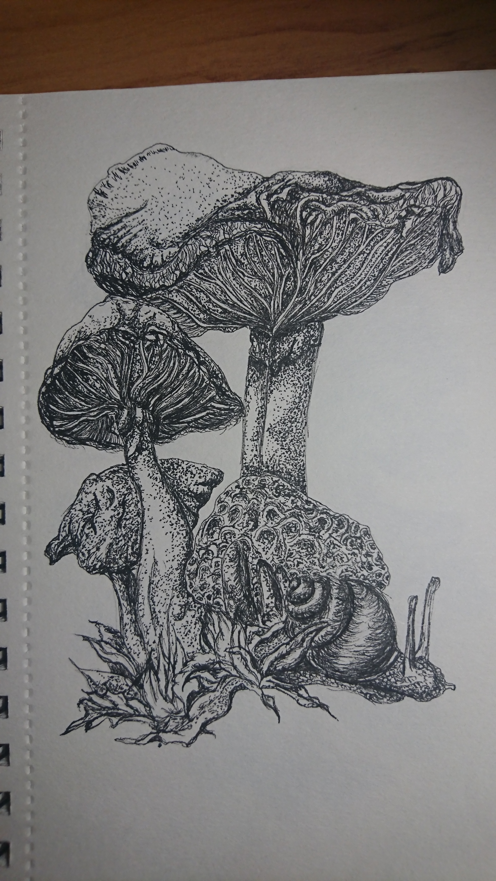 Mushrooms. - My, Liner, Drawing, Mushrooms, Art, Learning to draw