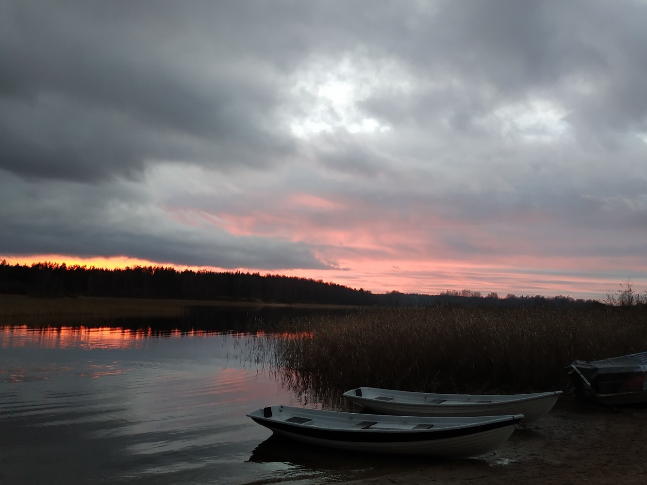 How we searched for the Sun Stone - My, Longpost, Travels, Hike, Vuoksi, Sail, A boat, Story, Tourism, Reeds, Video