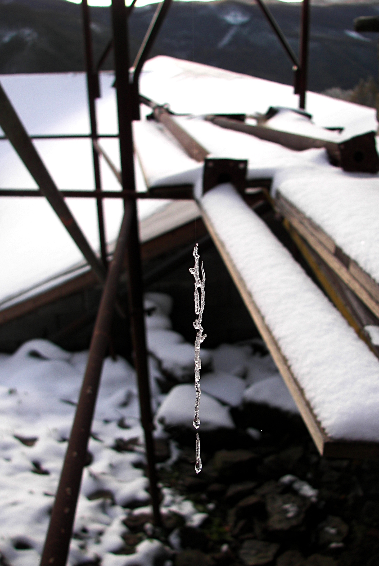 Gossamer Strength - My, The photo, Web, Ice, Longpost