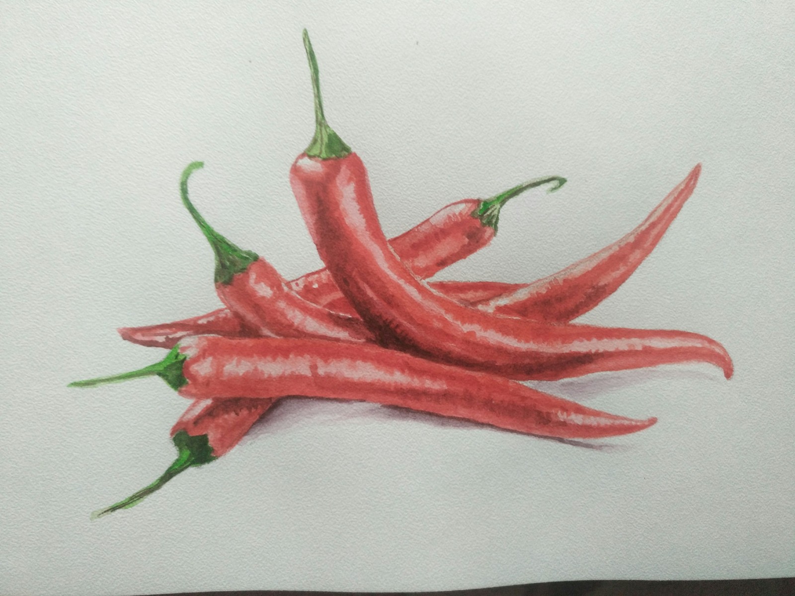 peppers - Watercolor, Learning to draw, Pepper, Painting