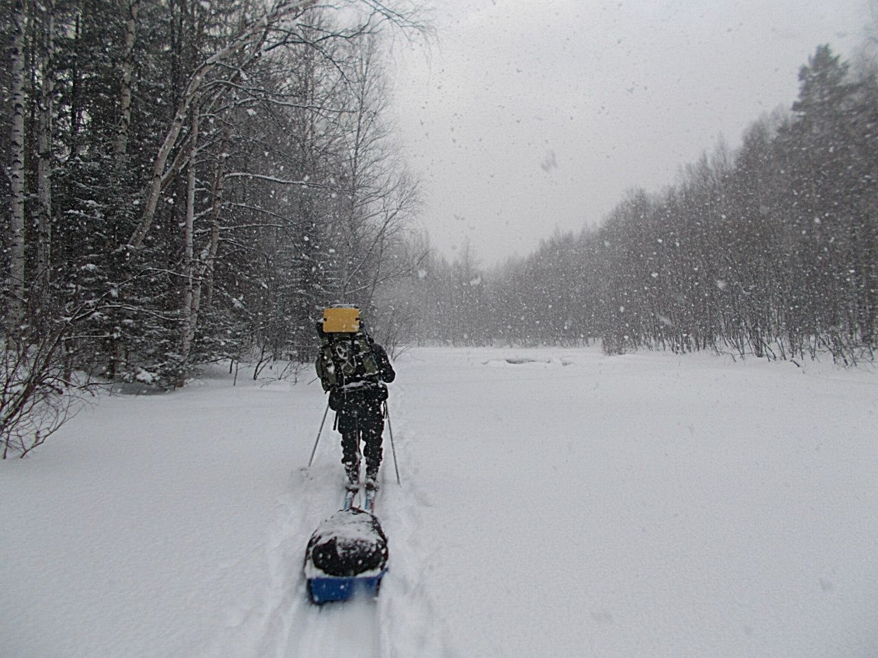 Help on the way - My, Skis, Hike, , Longpost, Snow