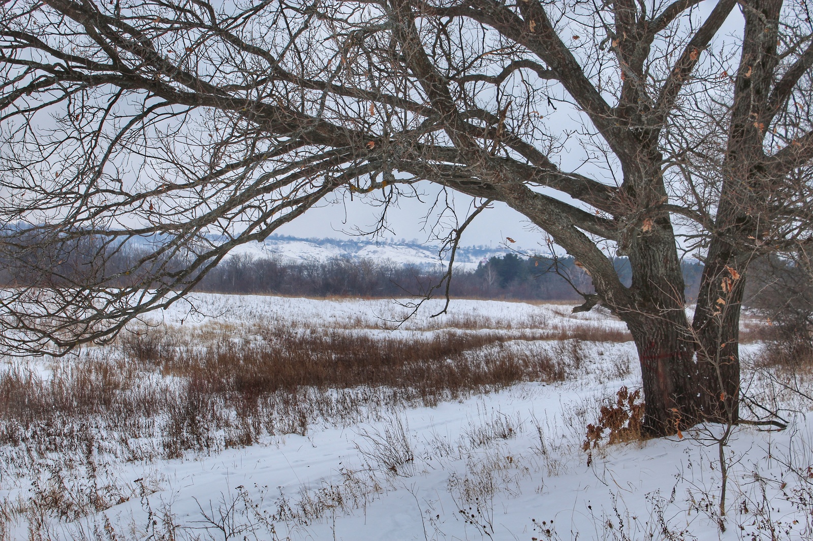 Photo walk - My, Dzerzhinsk, The photo, Canon 1300d, 18-55 kit, Nature, Longpost