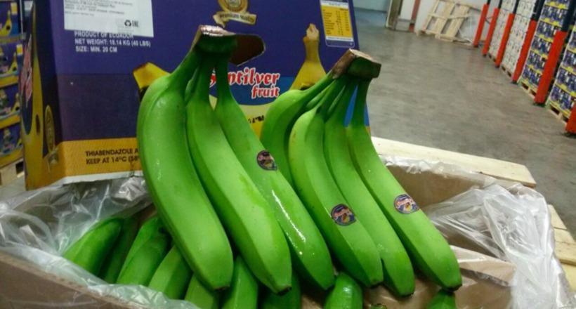 Green bananas of our childhood. Or bananas in the era of the USSR. - Story, the USSR, Russia, Banana, Childhood, Parents, Nostalgia, Memories, Longpost