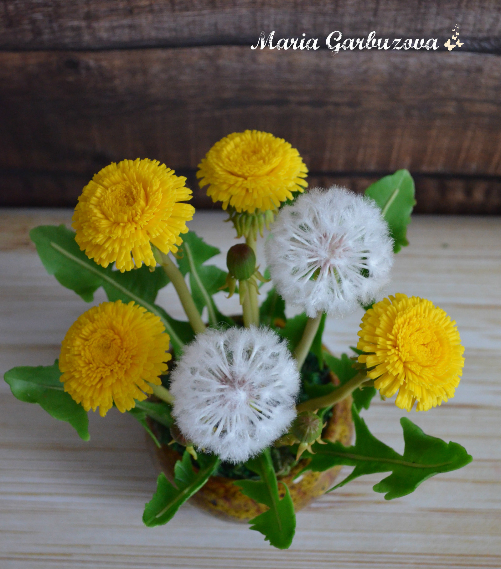 Handmade dandelions - My, With your own hands, Cold porcelain, Polymer clay, Longpost