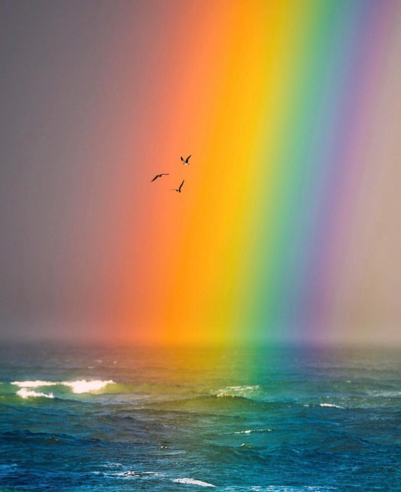 Rainbow - Rainbow, The photo