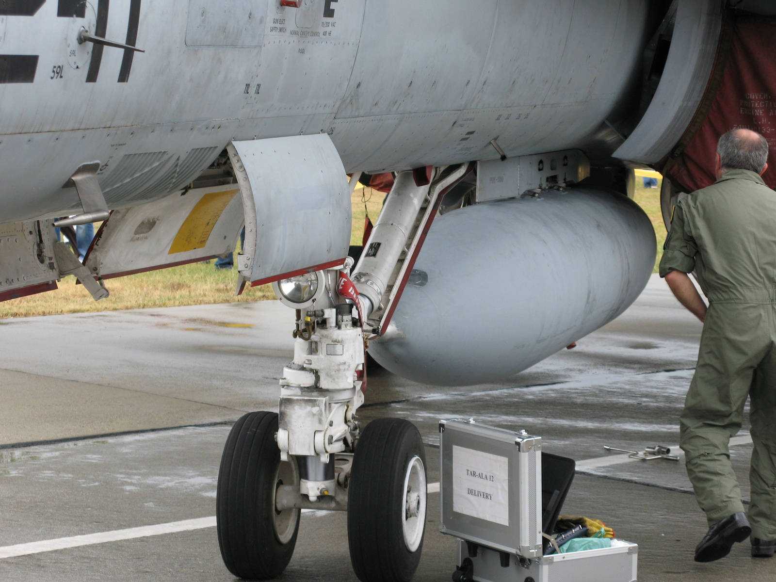 McDonnell Douglas F/A-18 Hornet - My, Airplane, Hornet, Airshow, , Longpost