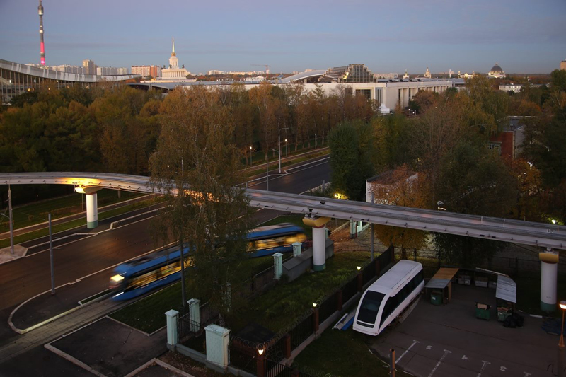 Belarusian square at VDNKh was cut down overnight - Russia, , VDNKh, Moscow, Felling, Wildlife management, , Square