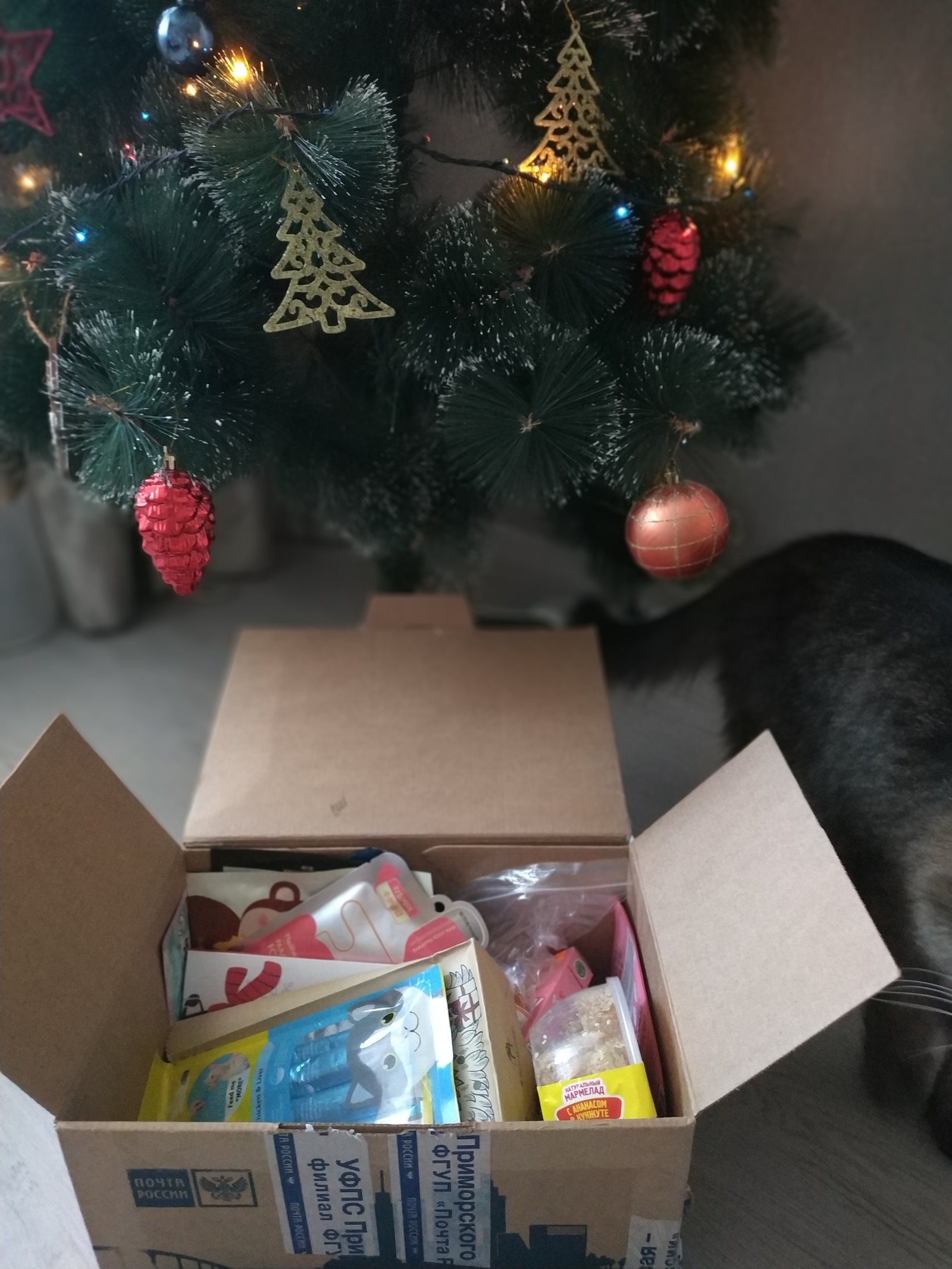 With love from Vladivostok - My, Secret Santa, New Year, Gift exchange, Longpost, Gift exchange report