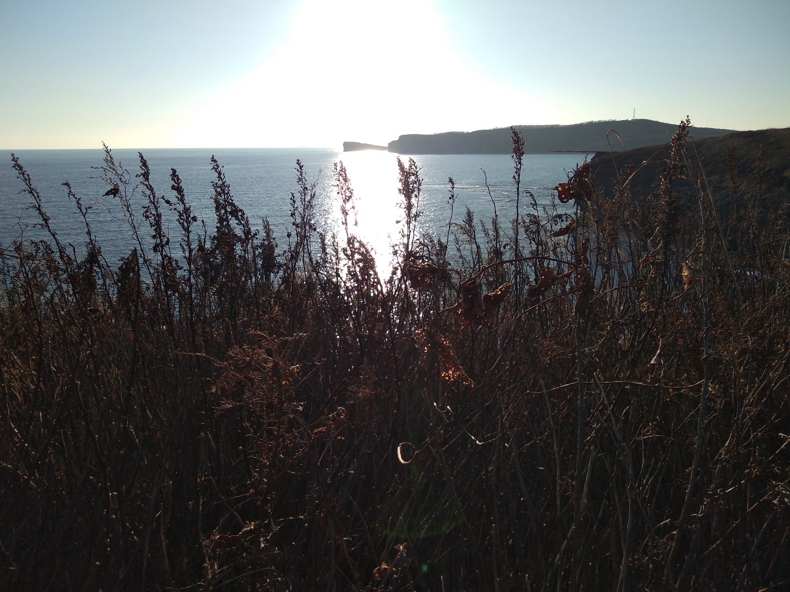 The winter sea is in your feed - My, Primorsky Krai, Russian island, Sea, Longpost