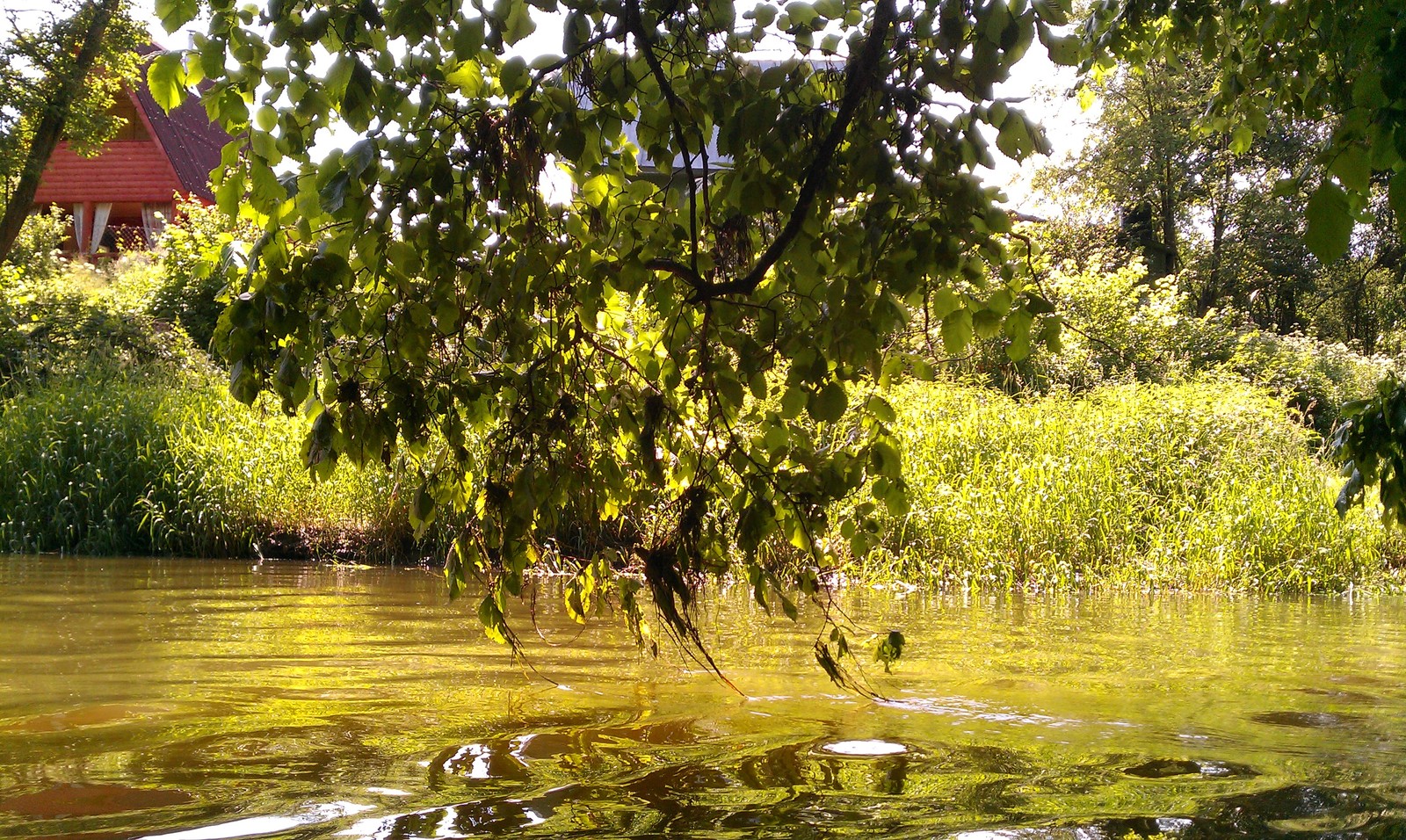 Small river - My, River, Подмосковье, , Krasnoarmeysk, Longpost