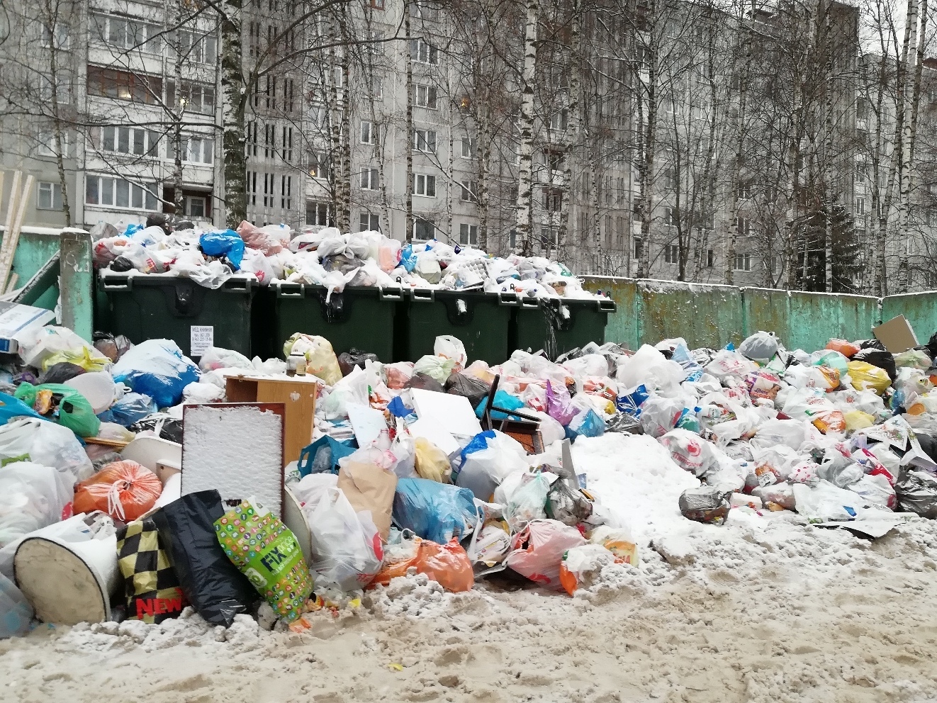 Как в Твери встретили Новый год свиньи | Пикабу