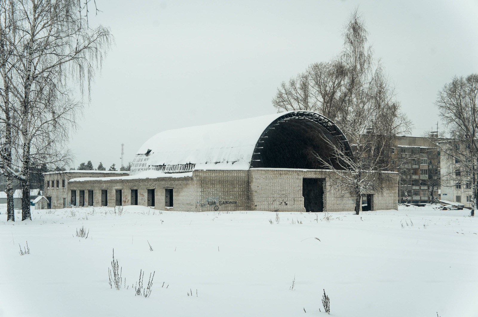 In winter, in the village - where the pines grow - My, Travels, Winter, Story, Travel across Russia, Marmot, Longpost