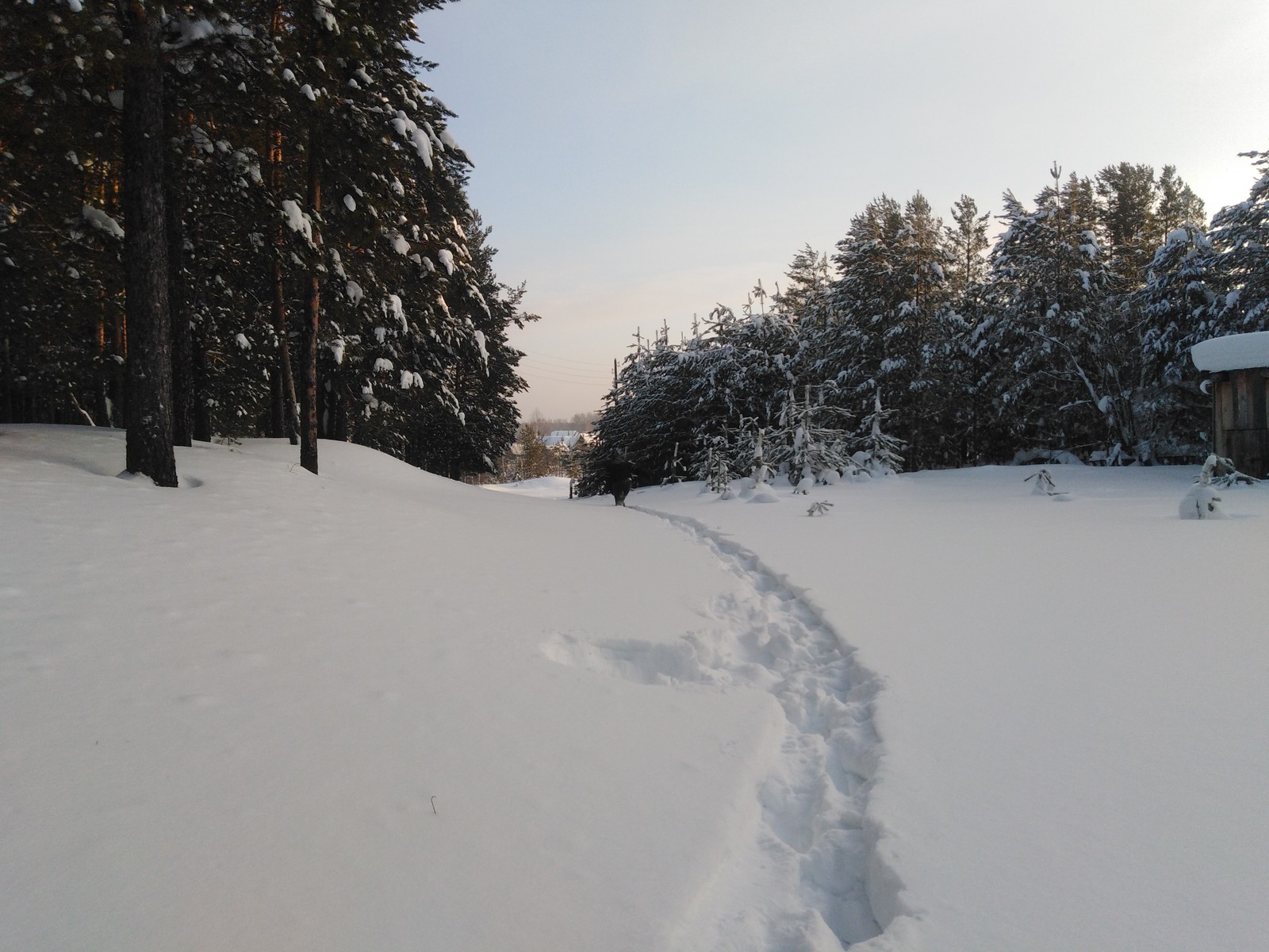 Siberia. - My, The photo, Siberia, Nature, Longpost