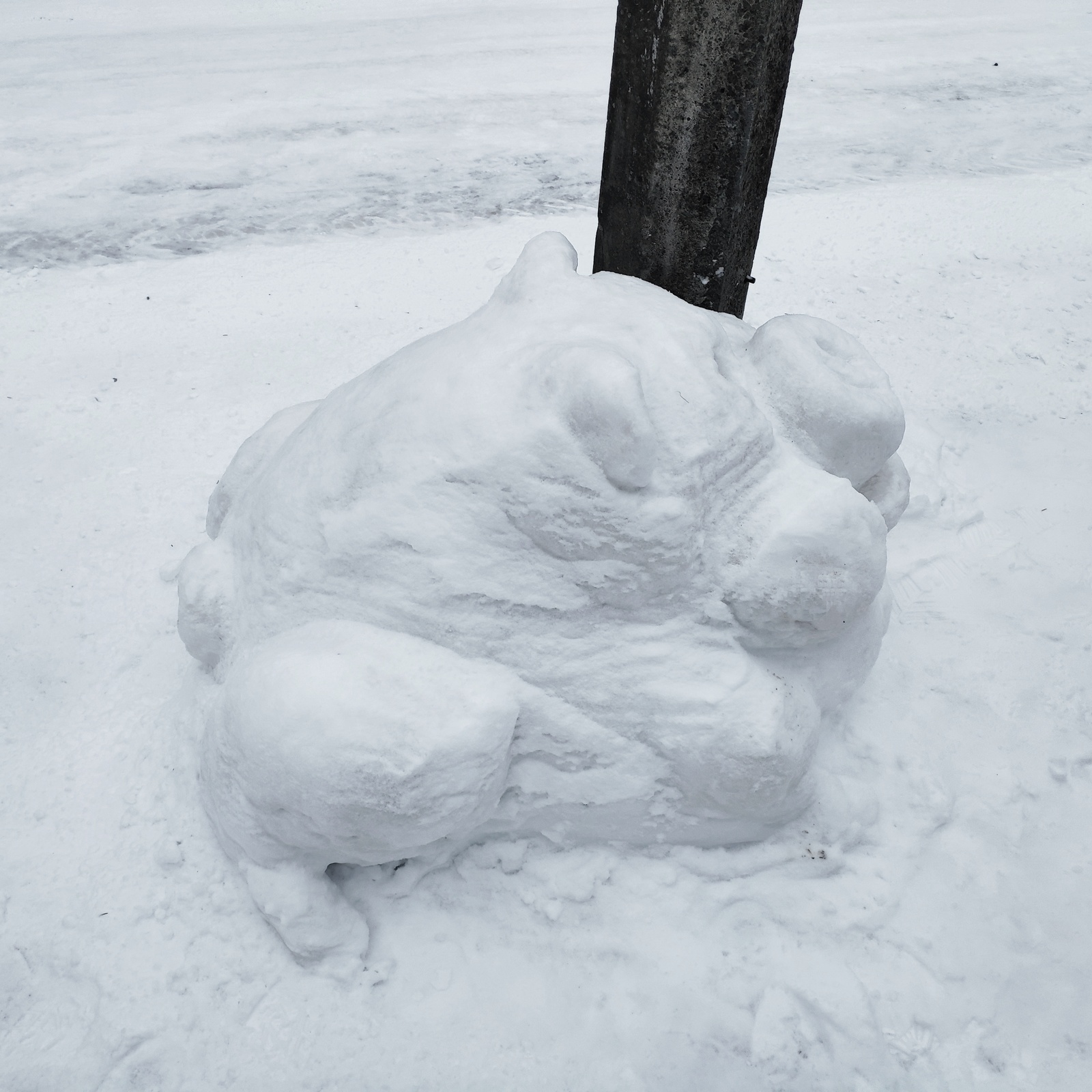 snow boar - My, Winter, Snow, snowman, Pig