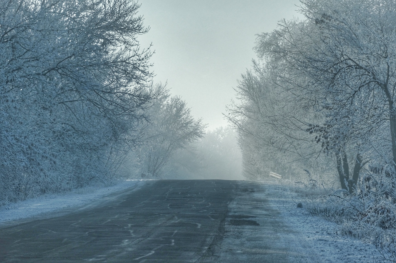 Frosty morning - My, Nature, Almaty Oblast, Longpost