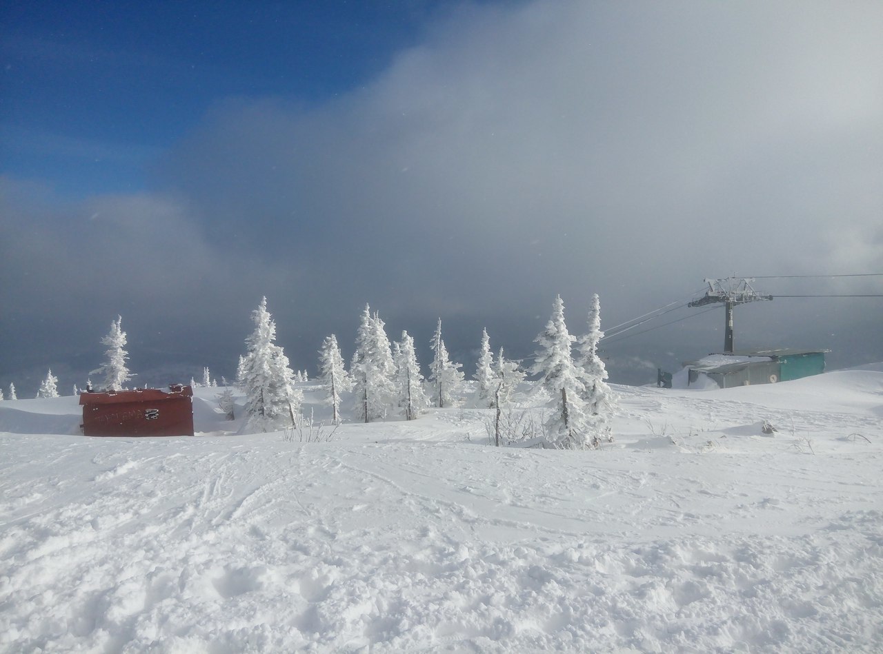 travel - My, Longpost, Gornaya Shoria, Travels, Friends, Butterfly, Snow