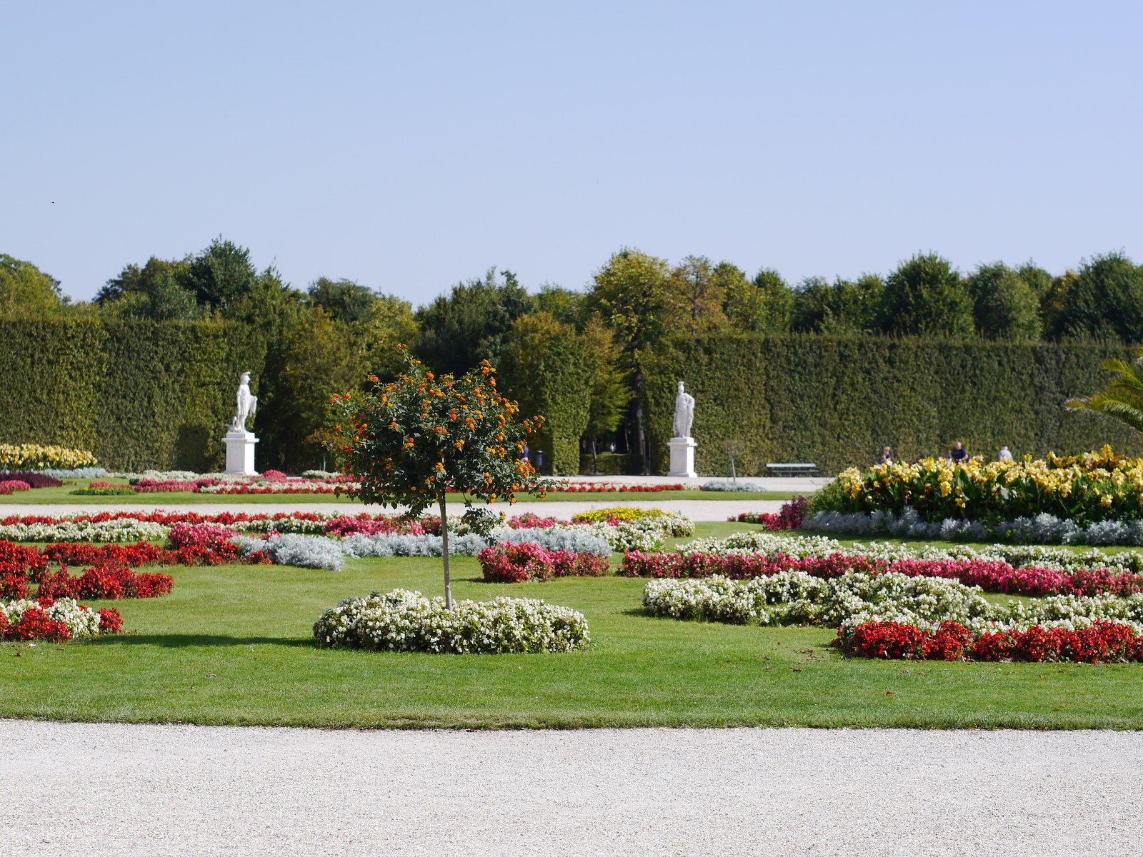 Schonbrunn-dacha of emperors. - My, Vein, SchГ¶nbrunn, Longpost