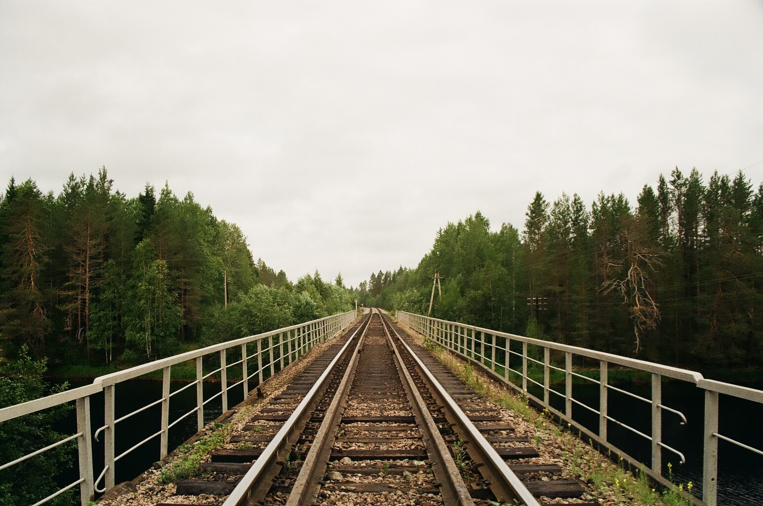 Road to Karelia - My, Nature, The photo, Карелия