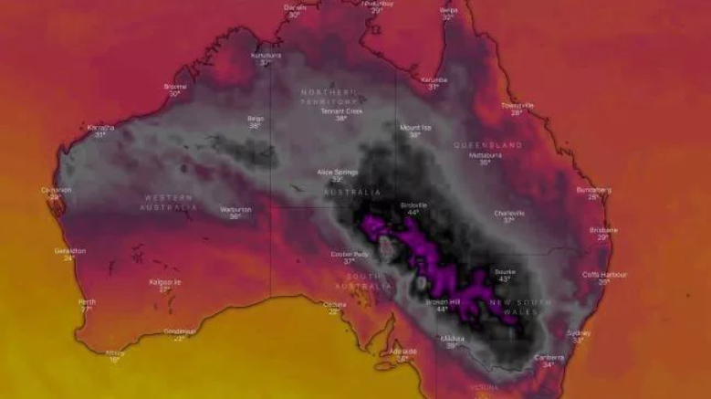 It's hot in Australia. - Australia, Heat, , Climate change, The photo, news, Longpost, Endangered species