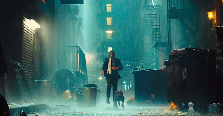 If John Wick continues at the same pace, then the third film will be a prequel to I Am Legend. - My, Movies, Dog, I'm a legend, John Wick