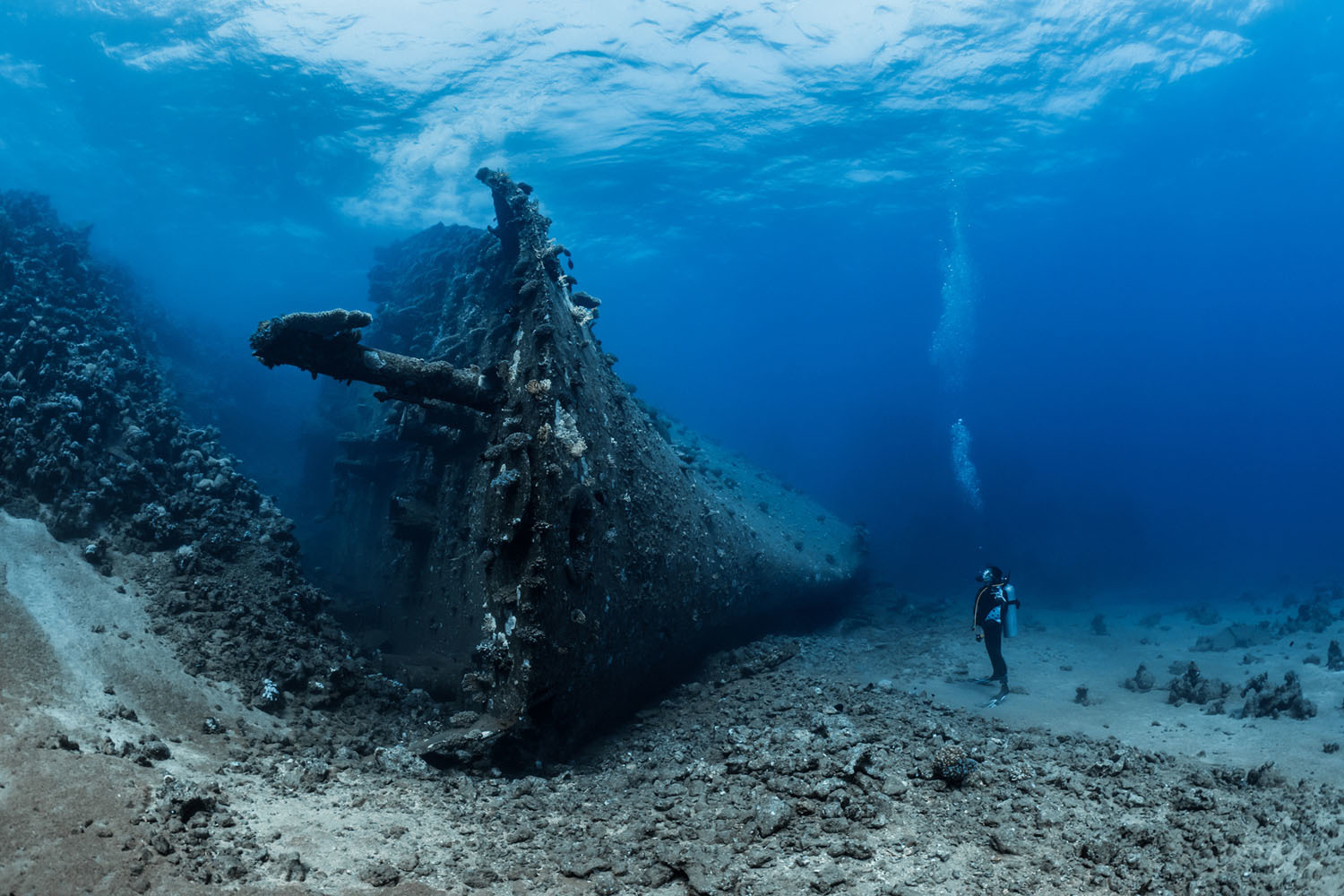 Победители фотоконкурса Ocean Art. - Подводная съемка, Фотография, Длиннопост