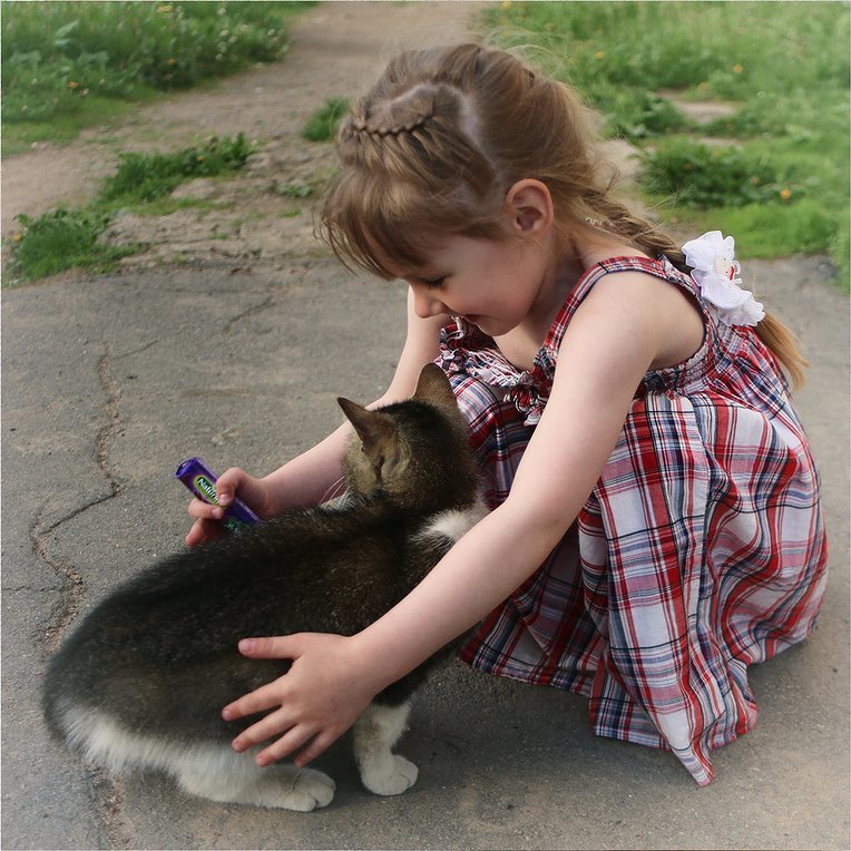 girls with cats - cat, Girl, Longpost