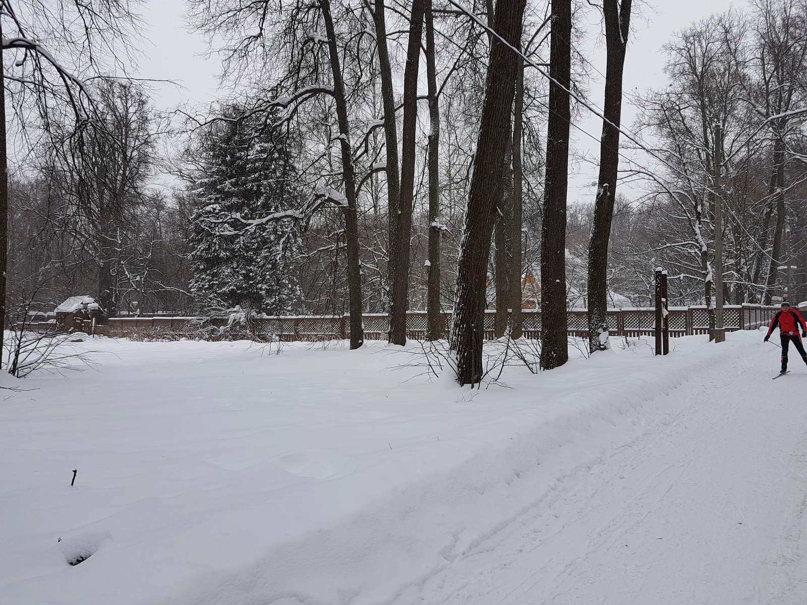 Walk under the snow - My, Mobile photography, Izmailovsky park, Moscow, Winter, Snowfall, Longpost