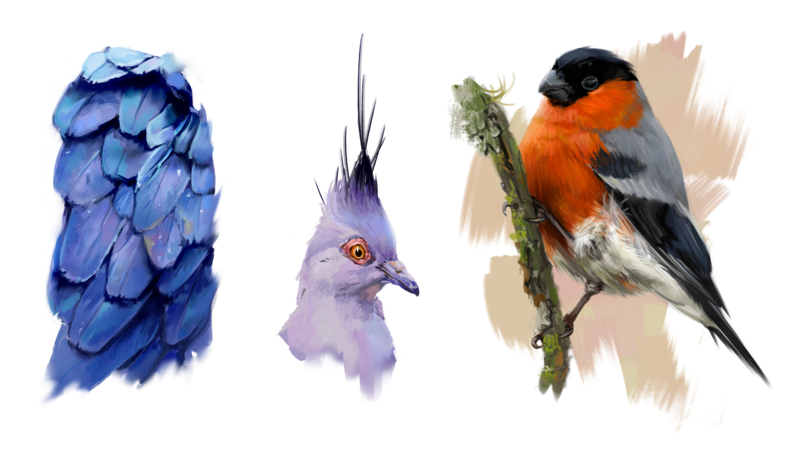 bird stadik - My, Illustrations, Art, Drawing, Digital drawing, Birds, Bullfinches, Animalistics, Nikita Rozhkov