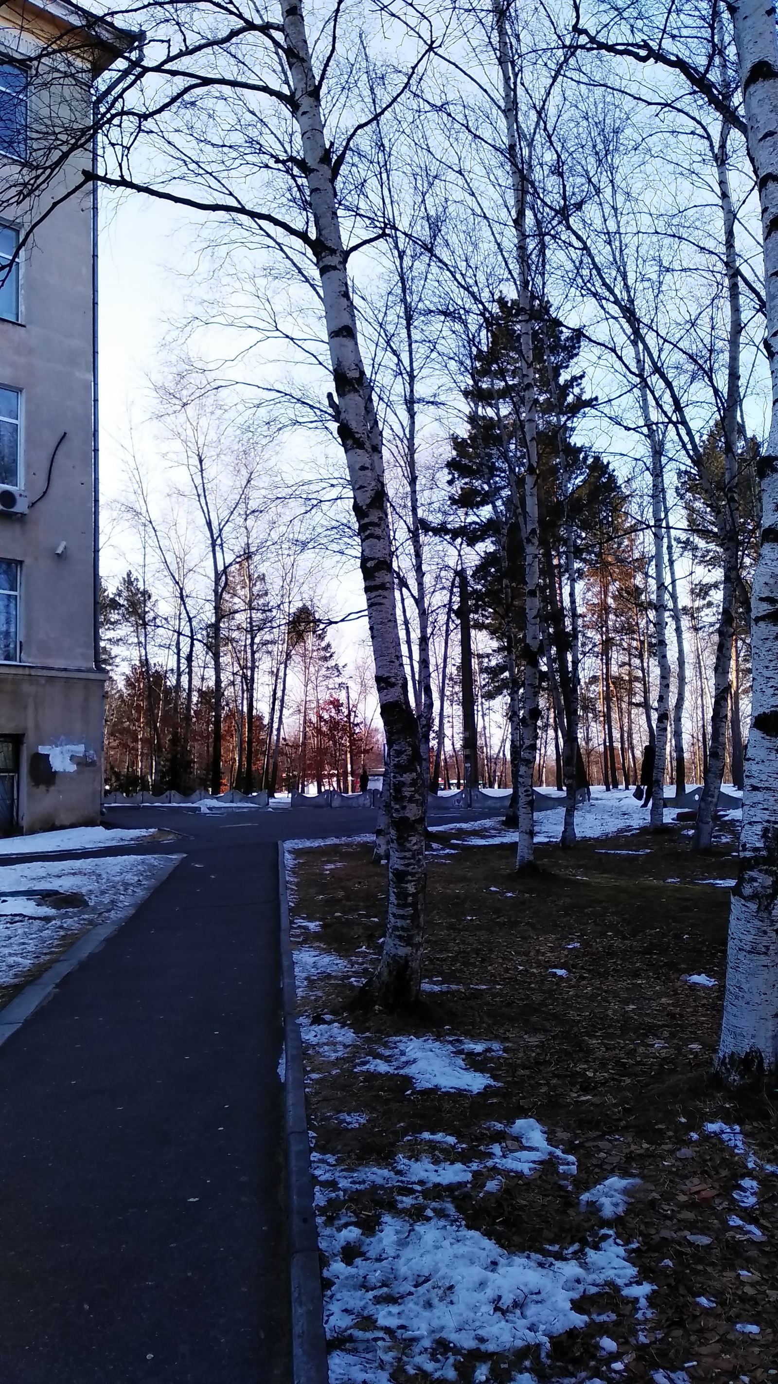 February, Khabarovsk. - My, Khabarovsk, Snow, February, Weather, Longpost