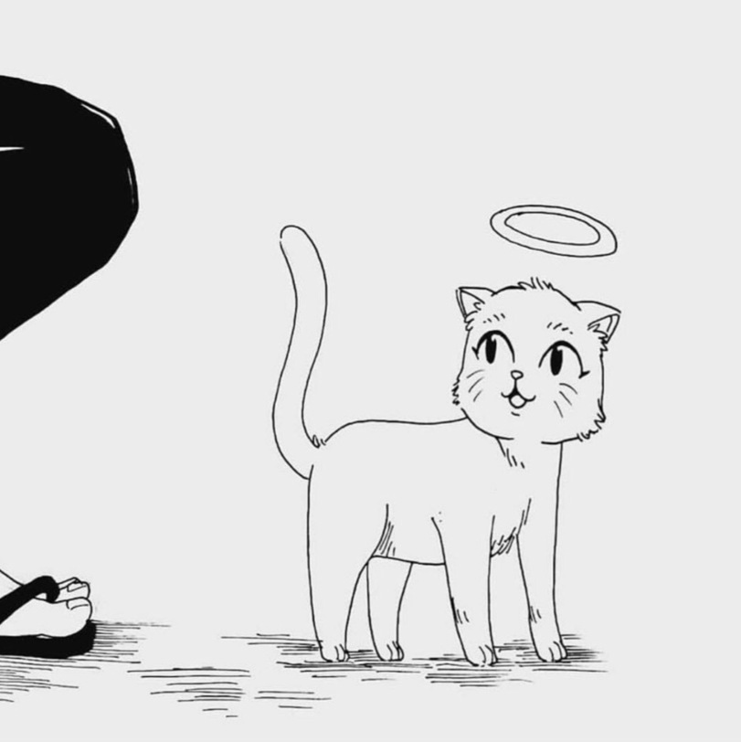 One paid attention, the other did not. - Comics, Sadness, cat, Longpost