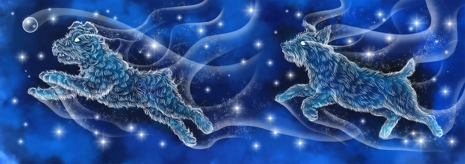 Expecto patronum! part 3. Dogs - My, Harry Potter, Fan art, Digital drawing, Magic, Portrait, Dog, Longpost