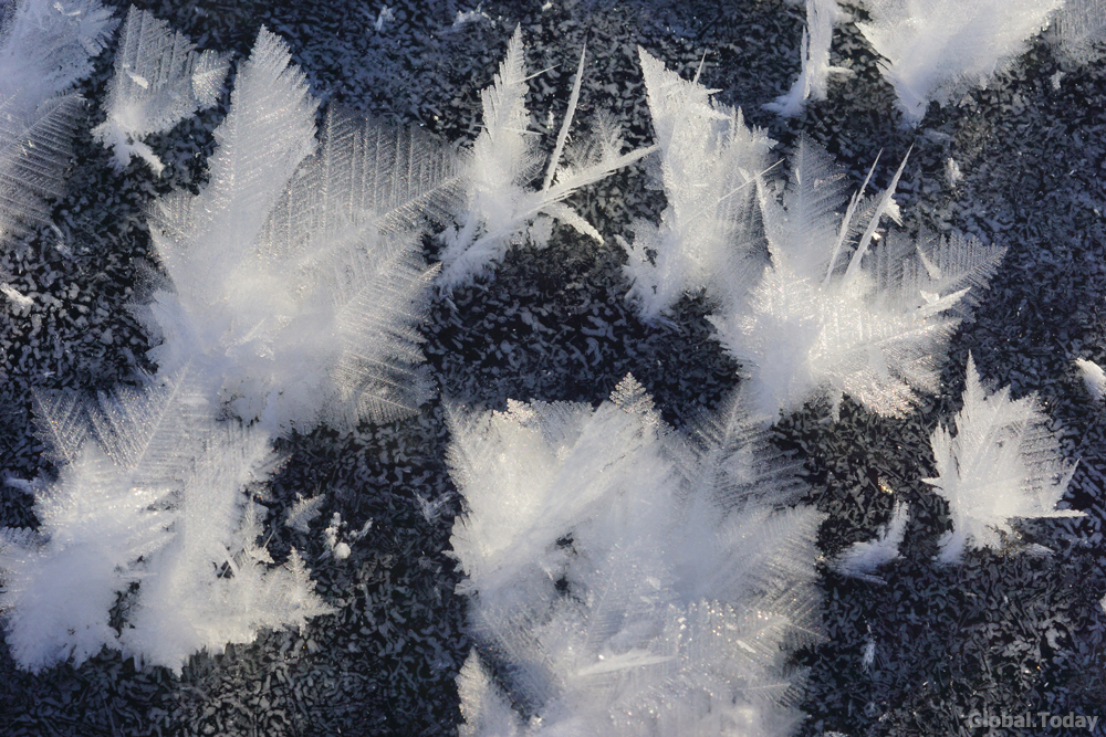 Winter flowers of Baikal. - My, Baikal, Baikalsk, The photo, Photographer, Nature, Landscape, Winter, Irkutsk, Longpost