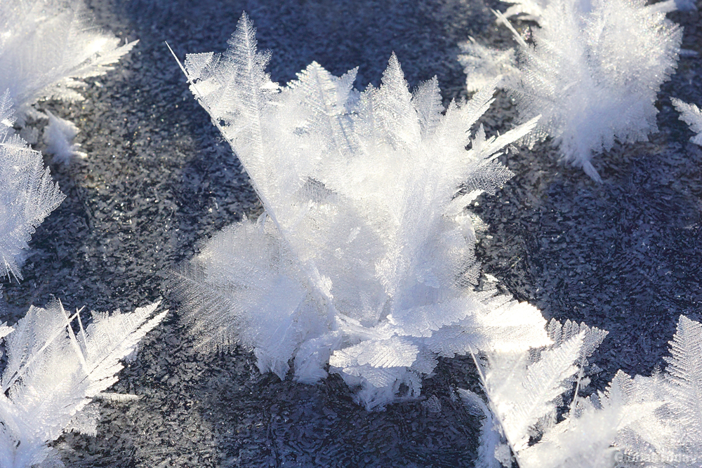 Winter flowers of Baikal. - My, Baikal, Baikalsk, The photo, Photographer, Nature, Landscape, Winter, Irkutsk, Longpost