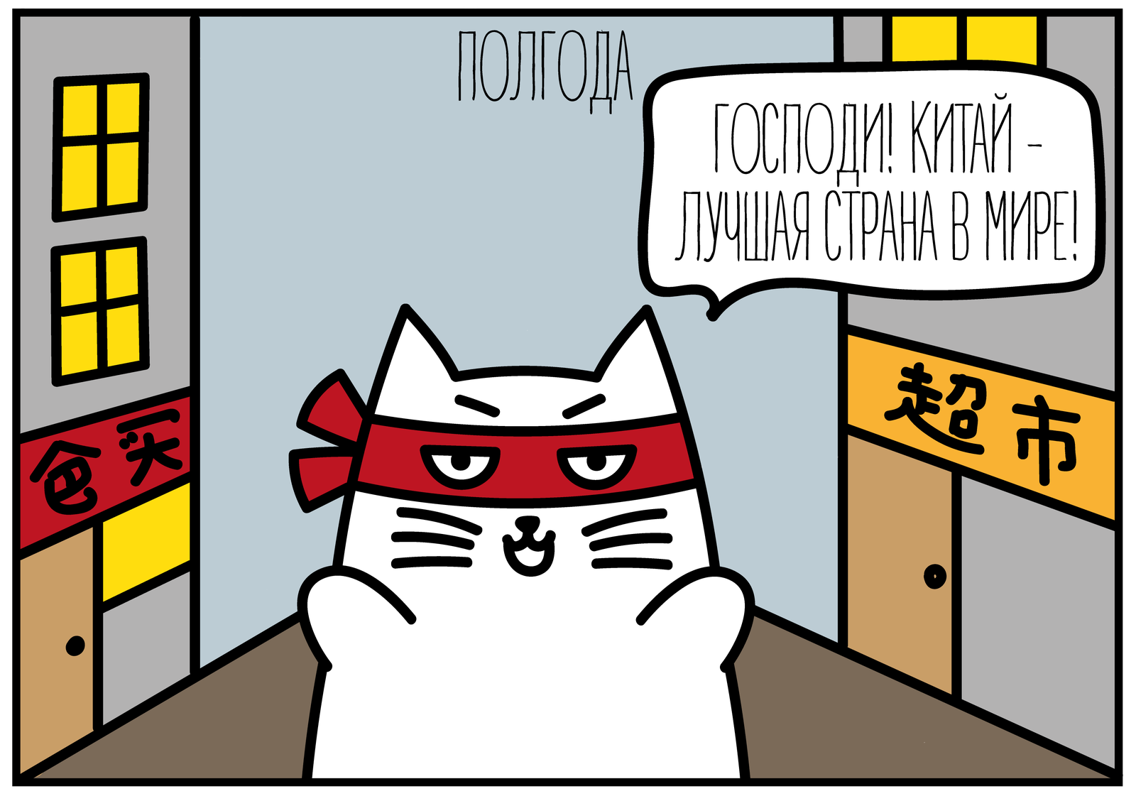 Foreigner in China - My, China, Comics, cat, Longpost