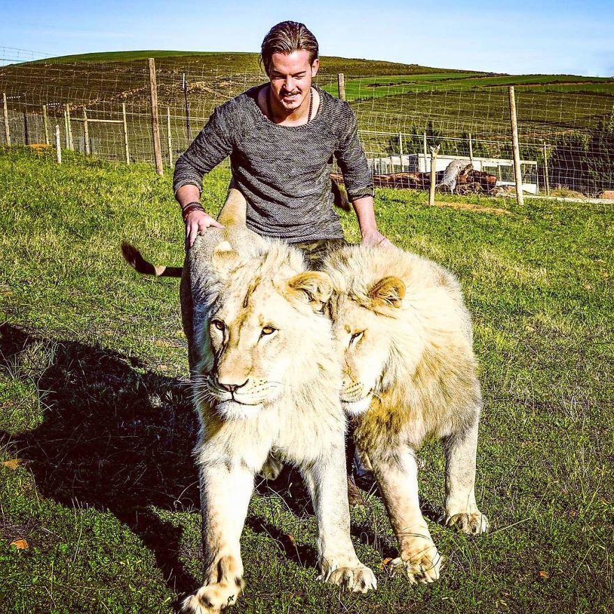 A 26-year-old guy quit his prestigious job, sold his property and went to Africa to save wild animals. - Africa, a lion, Animals, Longpost, Dean Schneider