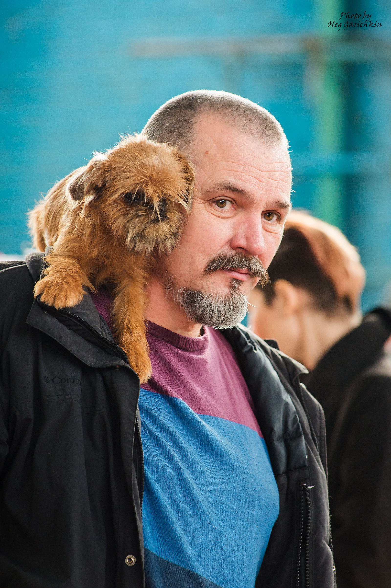 Another portion of reportage shots from dog shows held in 2018 in the South of Russia, enjoy watching)) - My, Dog show, Dogs and people, Animals, Pets, Dog, Longpost