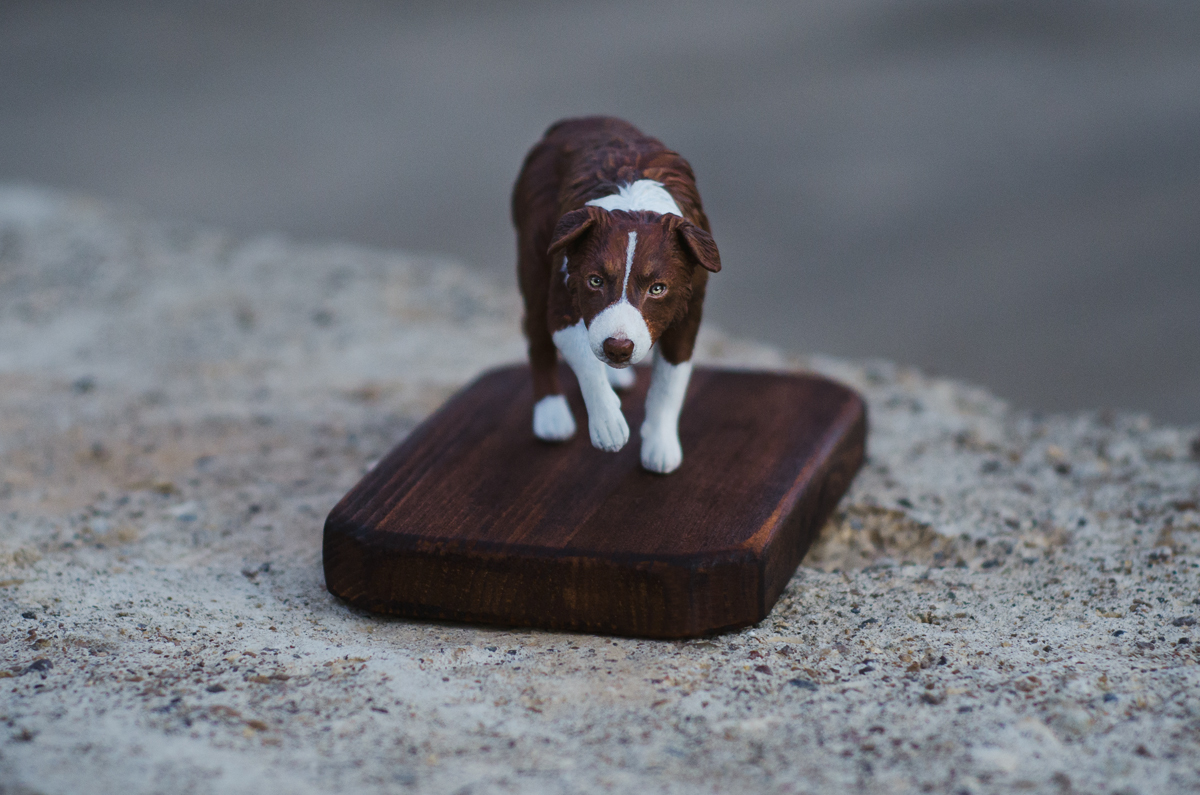 From an old - My, Sculpture, Polymer clay, Figurative, Miniature, Longpost, Border Collie, Miniature