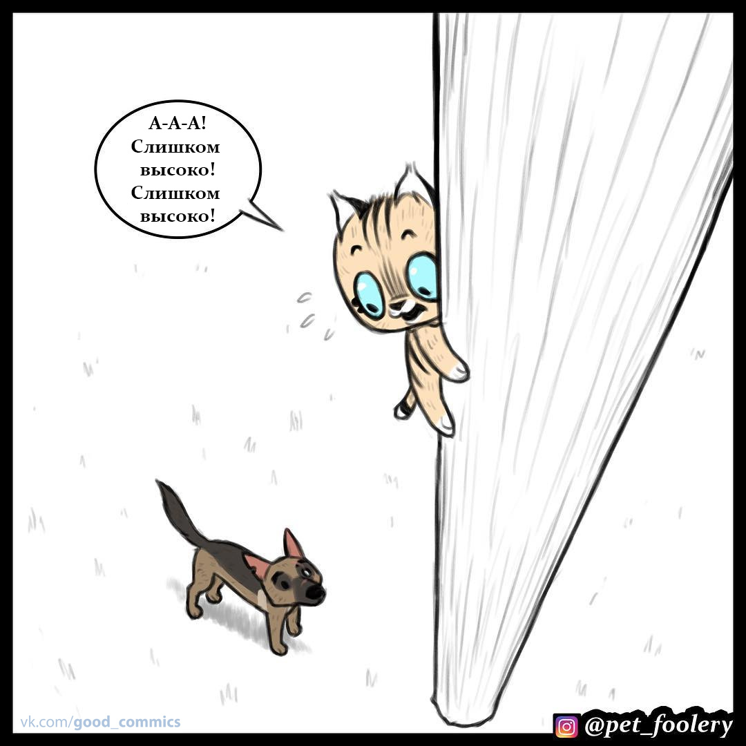 Height Conqueror - Pet foolery, Brutus and Pixie, Comics, Translated by myself, Longpost, cat, Dog