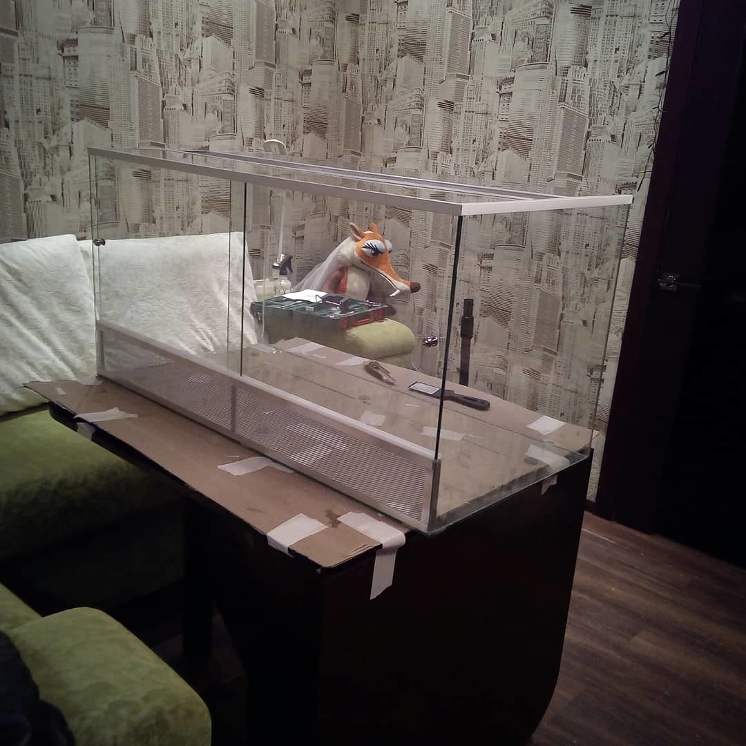 The terrarium is ready. - My, Terrarium, Terrariumistics, Straight arms, DIY terrarium, Hobby, Glass Terrarium, Longpost