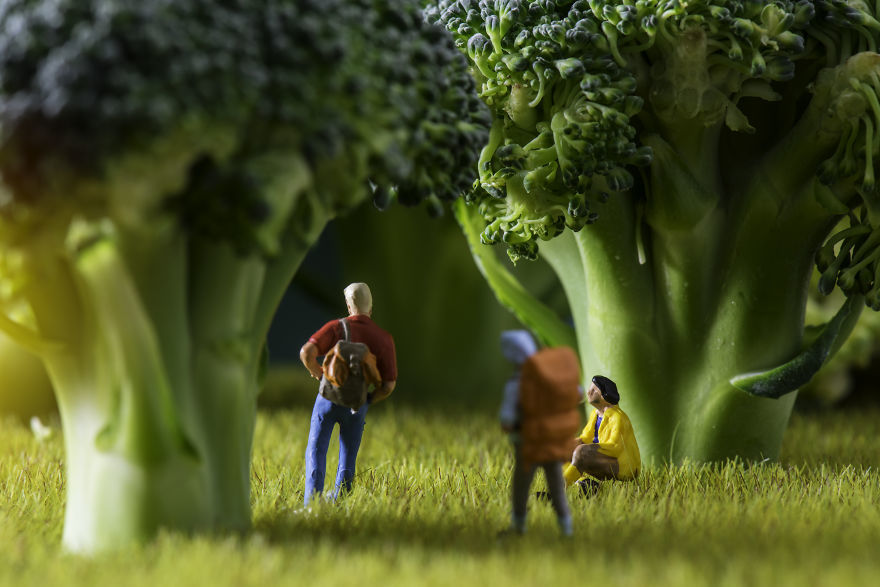 miniature world - Miniature, Macro photography, Lilliputians, Longpost