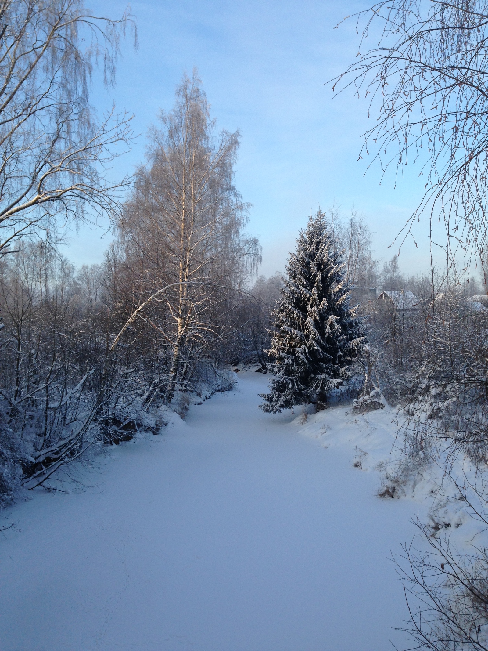 This amazing winter! - The photo, Winter, Longpost, Nature, The park