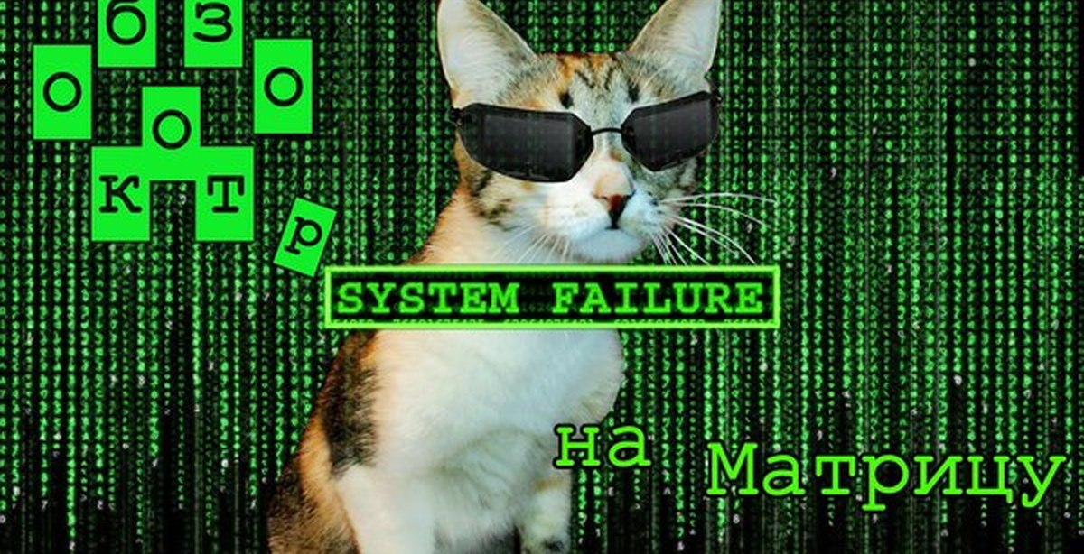 Котенок хакер. Коты хакеры. Аватар кота хакера. Hacker cat. Кот программист арт.