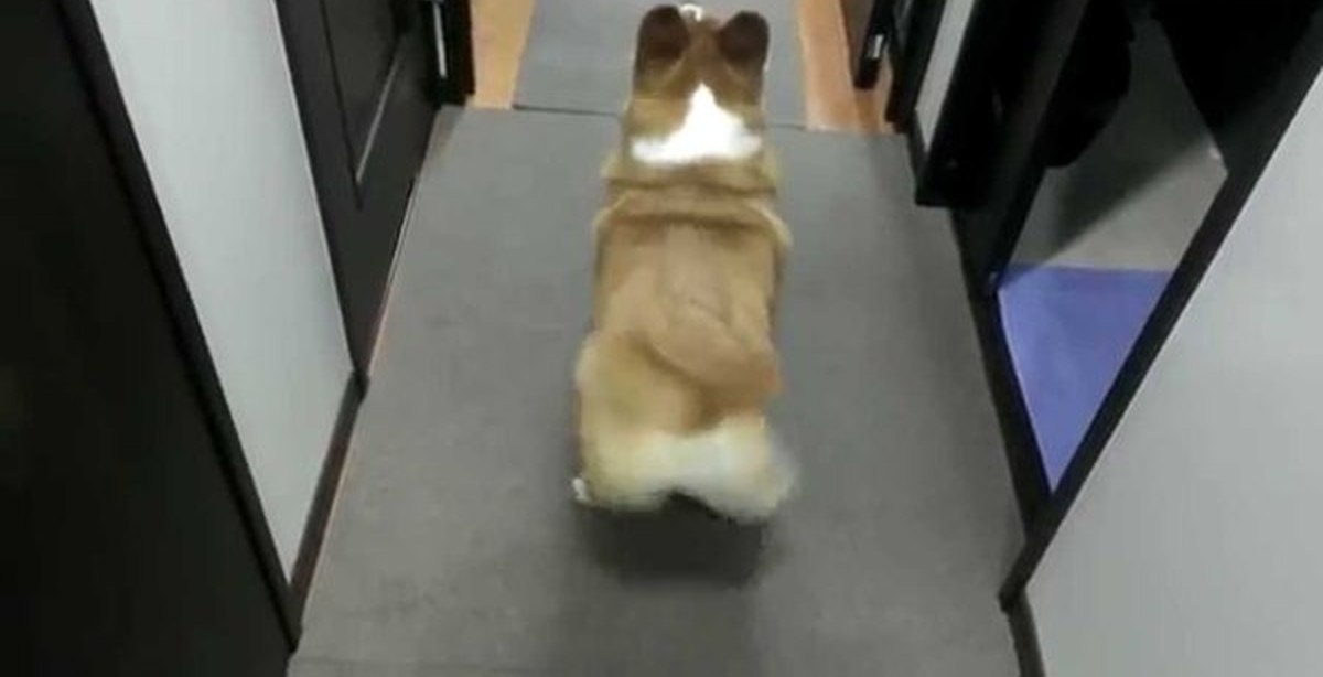 Молодой дрожит. Юную трясет. Гифка мотает головой. Юную трясет. Юную трясет.