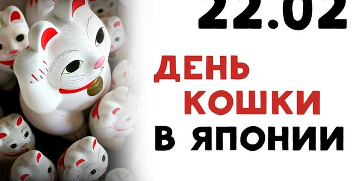 День поддержки. День кошки в Японии 22 февраля. 22 Февраля праздник. 22 Февраля день кошки. Праздник кошек в Японии.