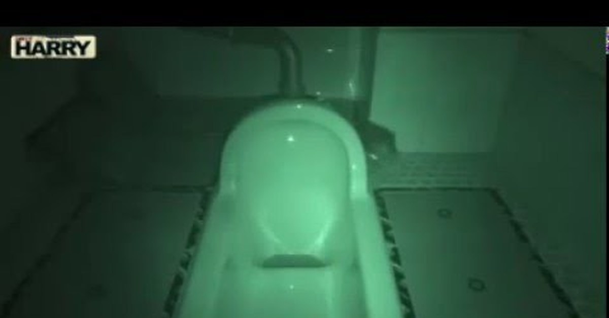 Мужской туалет скрытое видео. Крыса вылезла из туалета.