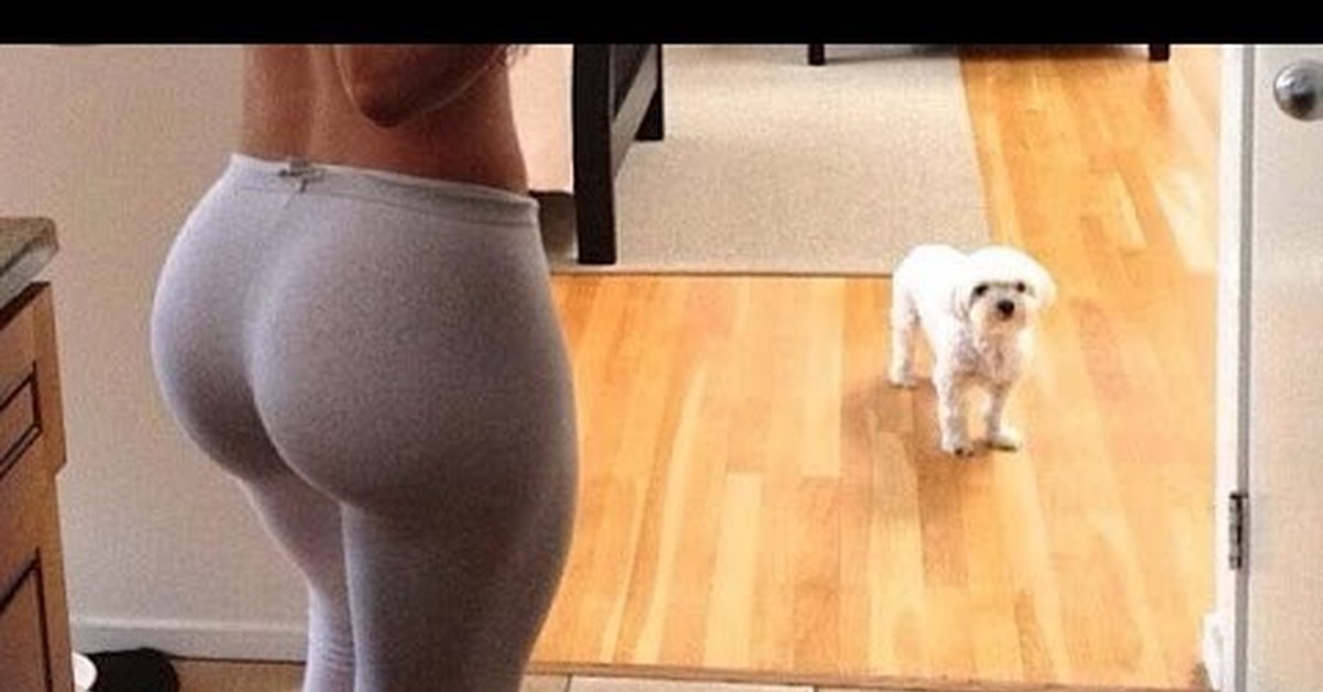 Dog Ass Girls